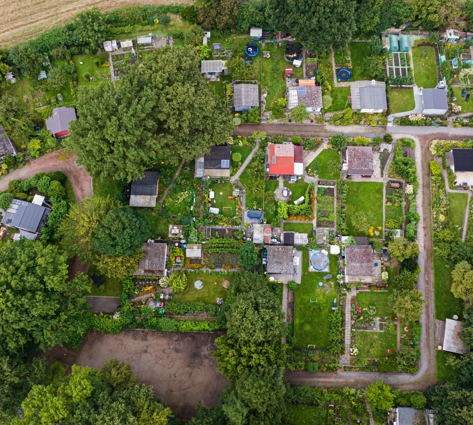 Kleingärtnerverein Beerenkamp e.V. Headerbild
